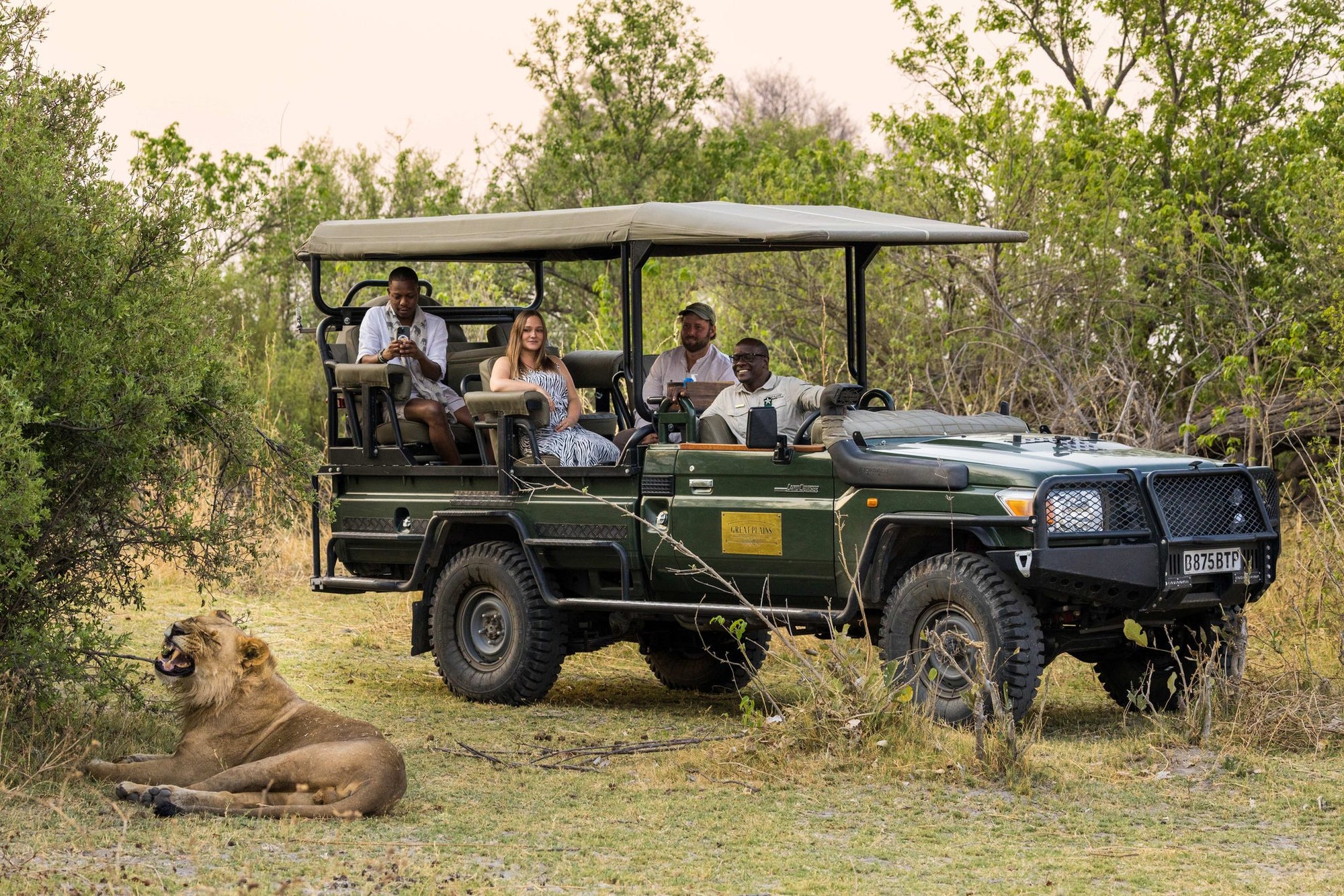 Safari Drives (day & night)