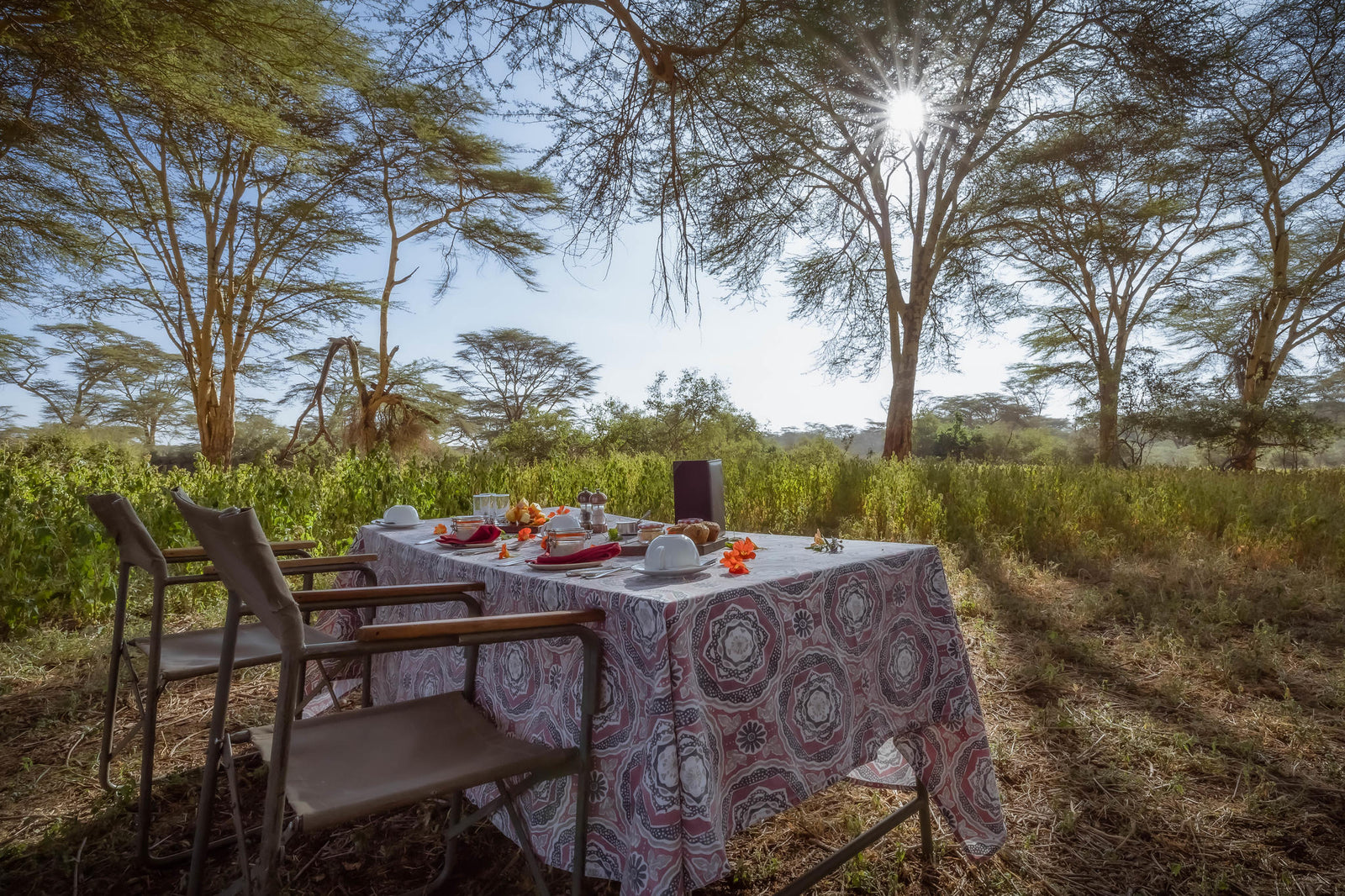 Bush Meals & Sundowners