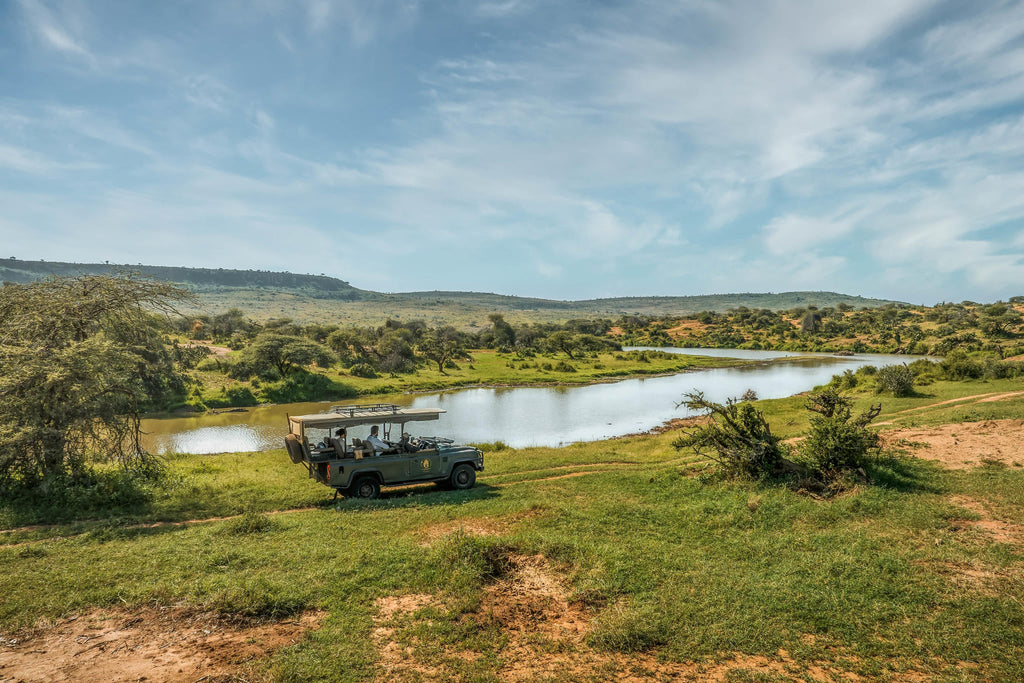 Game Drive Day and Night  gallery image 1