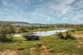 Game Drive Day and Night  gallery image 1
