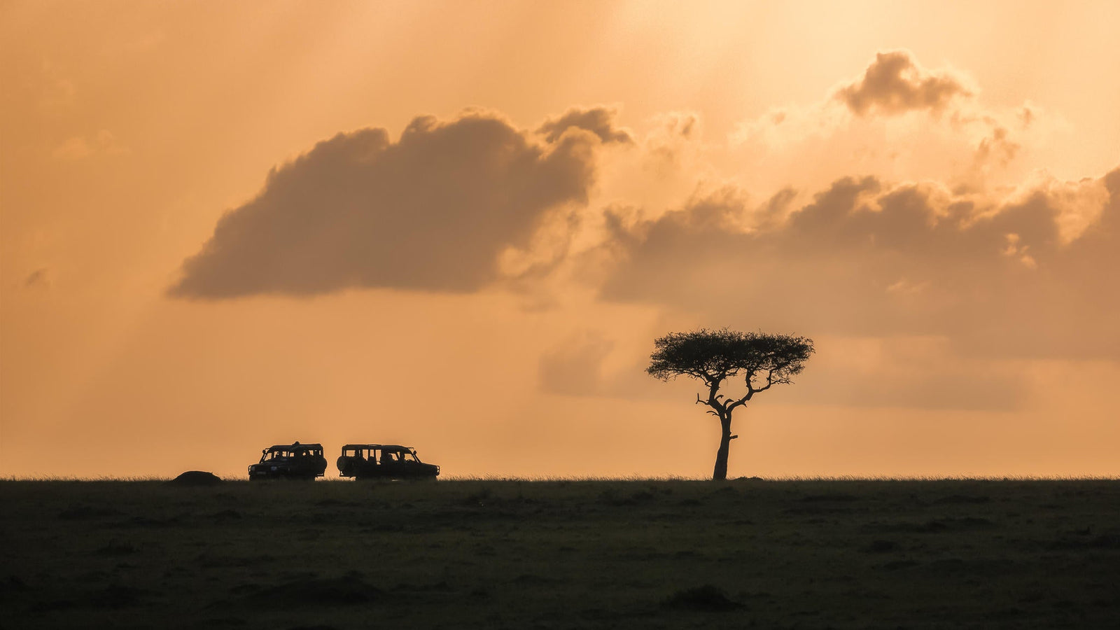 Game Drive