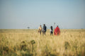 Walking Safari gallery image 1