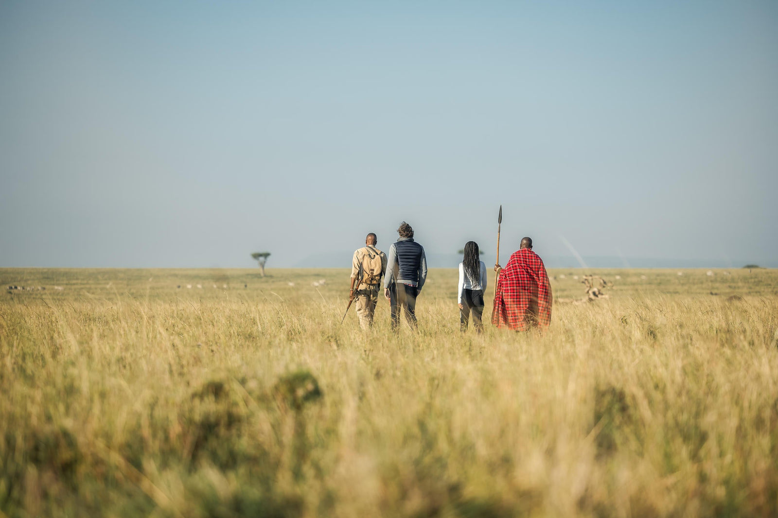 Walking Safari