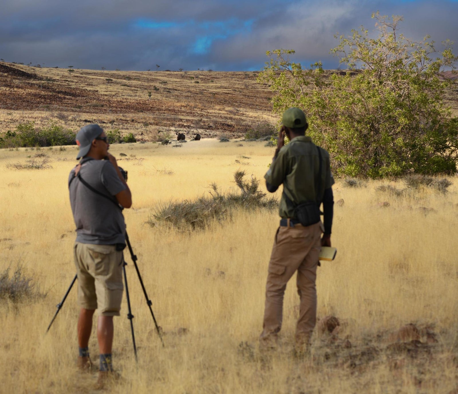 Full day Black rhino tracking
