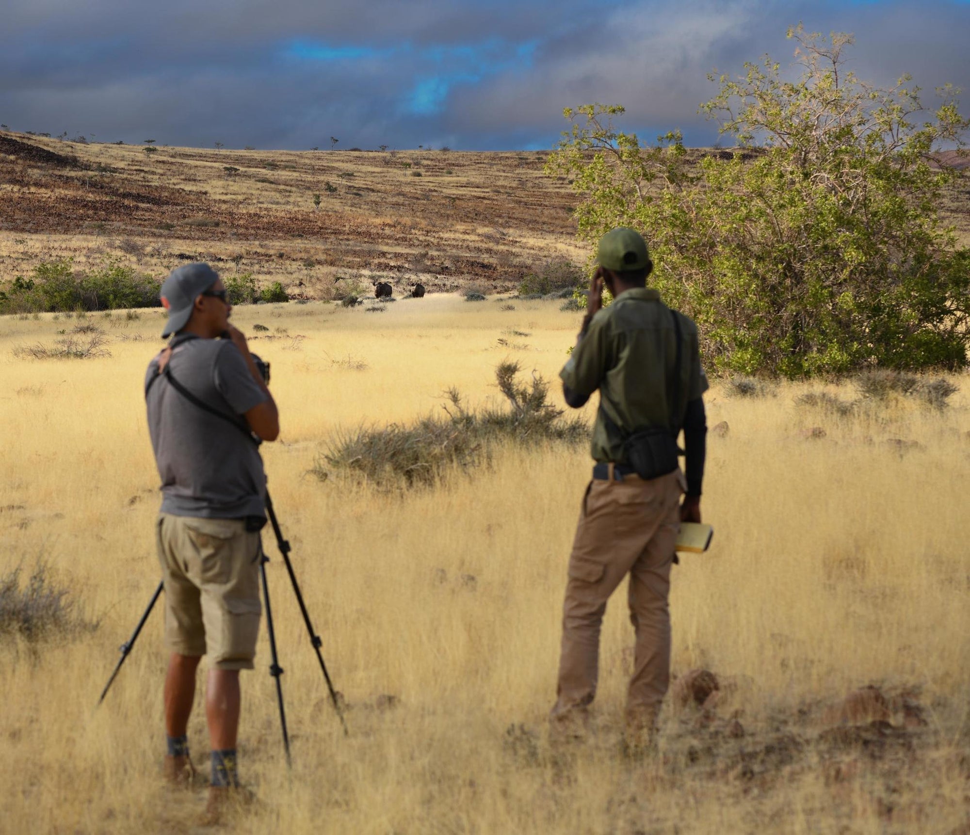 Full day Black rhino tracking gallery image 1
