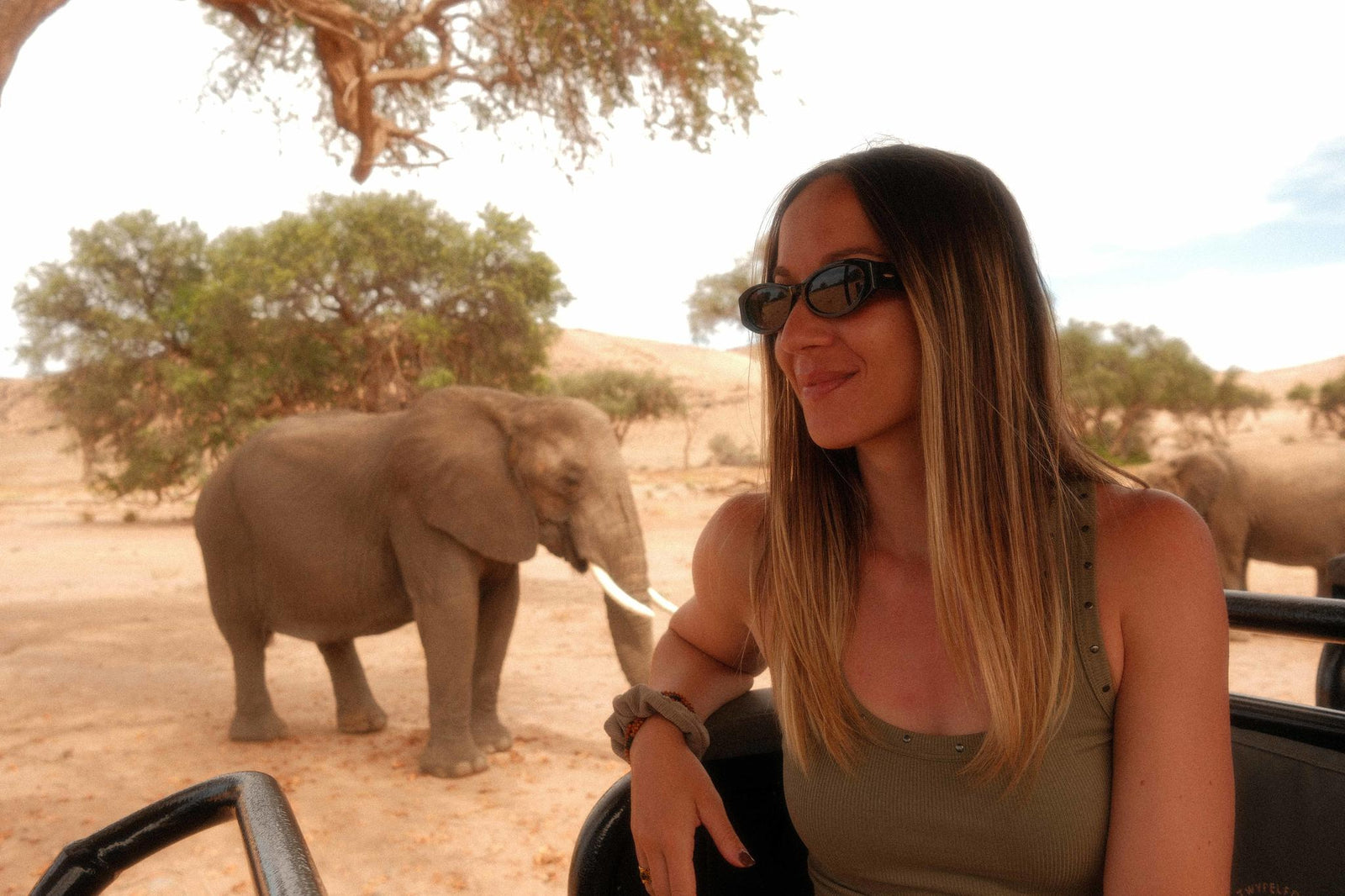 Guided Elephant Experience