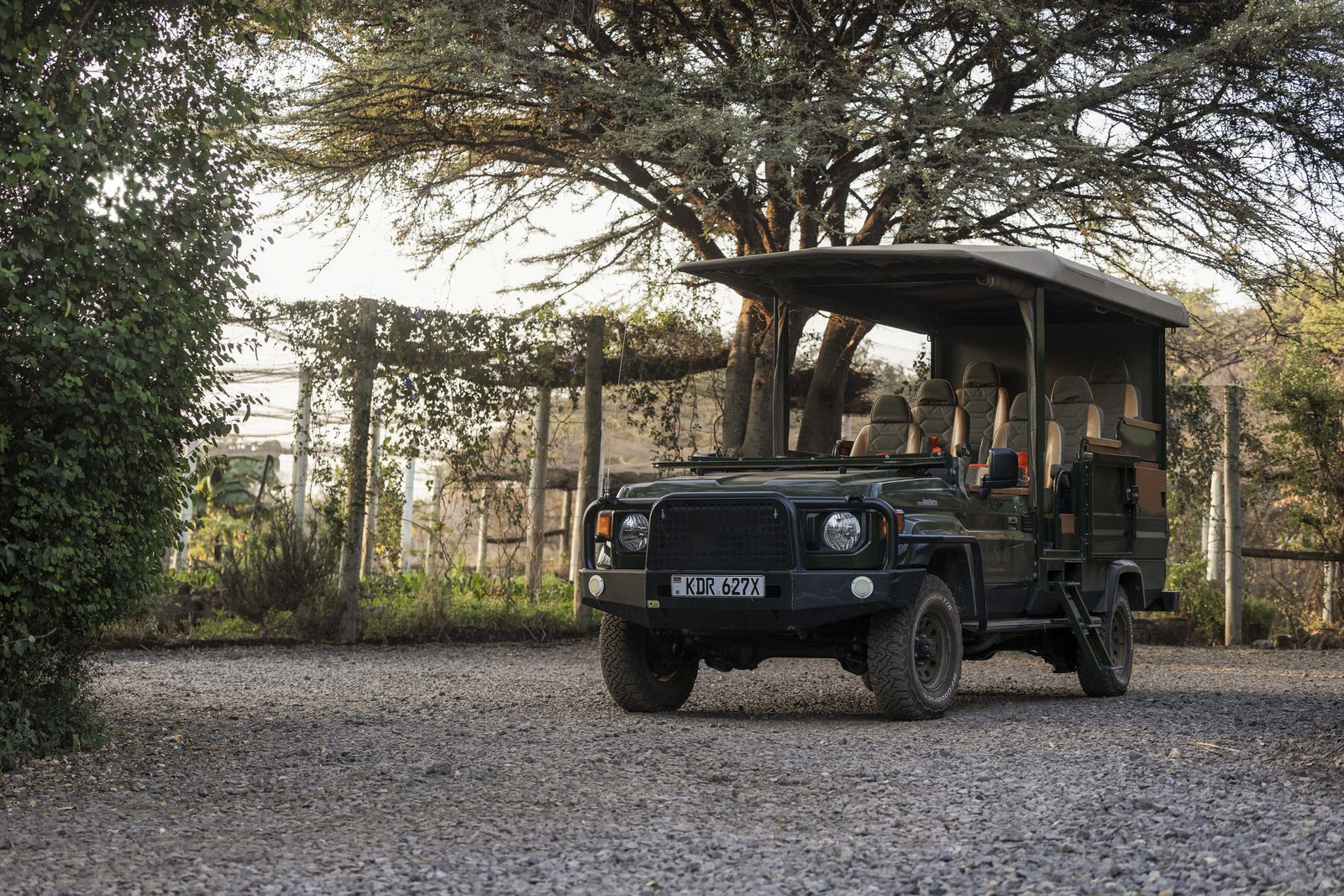 Night Game Drive