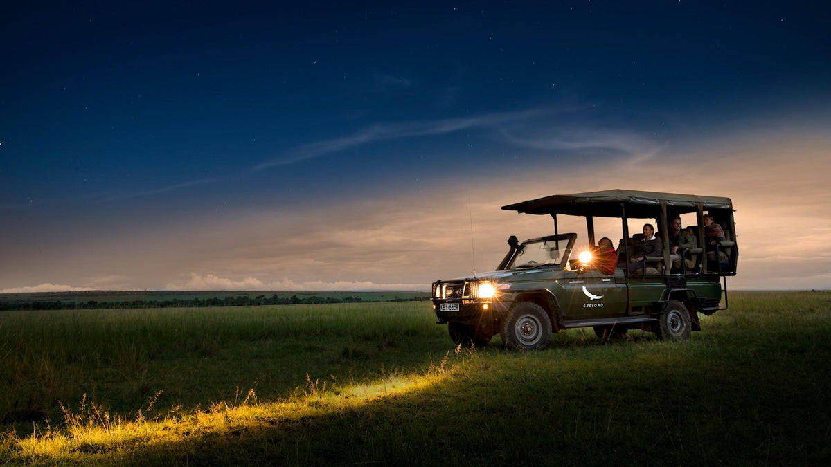 Night Game Drives (included)