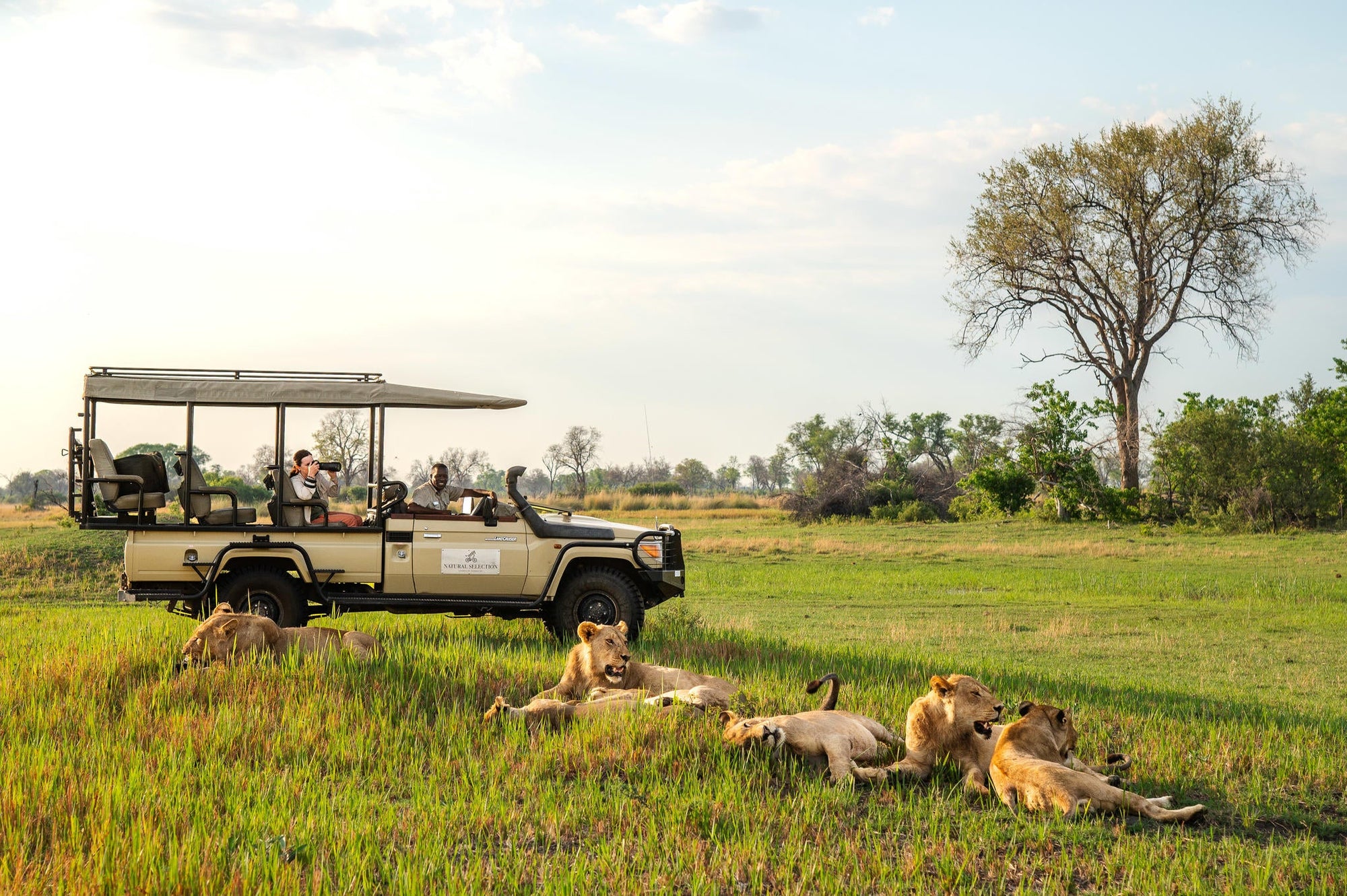 Game Drives  gallery image 2