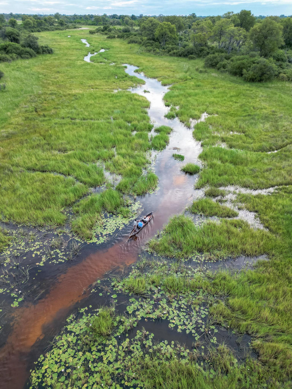 Mokoro trips (seasonal activity) gallery image 2