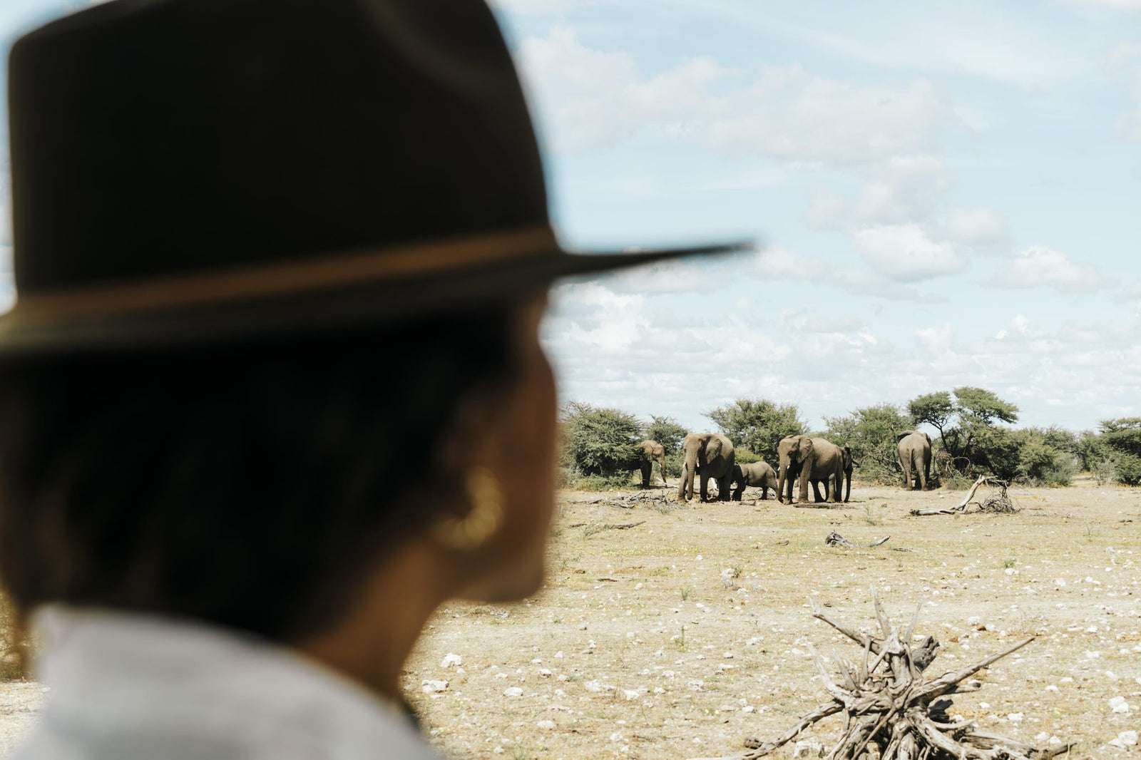 Full Day Game Drive into Etosha