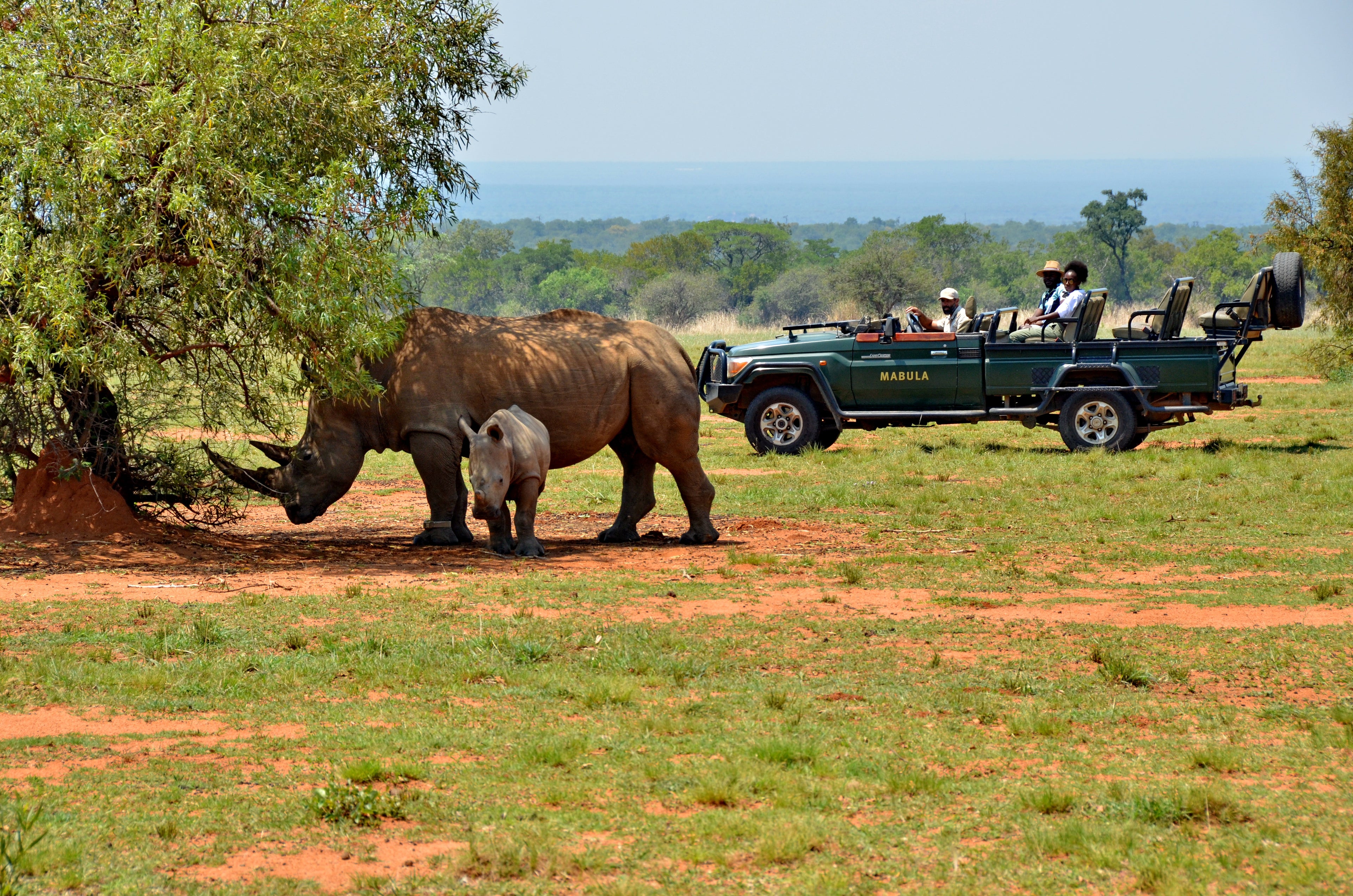 Mabula Game Lodge