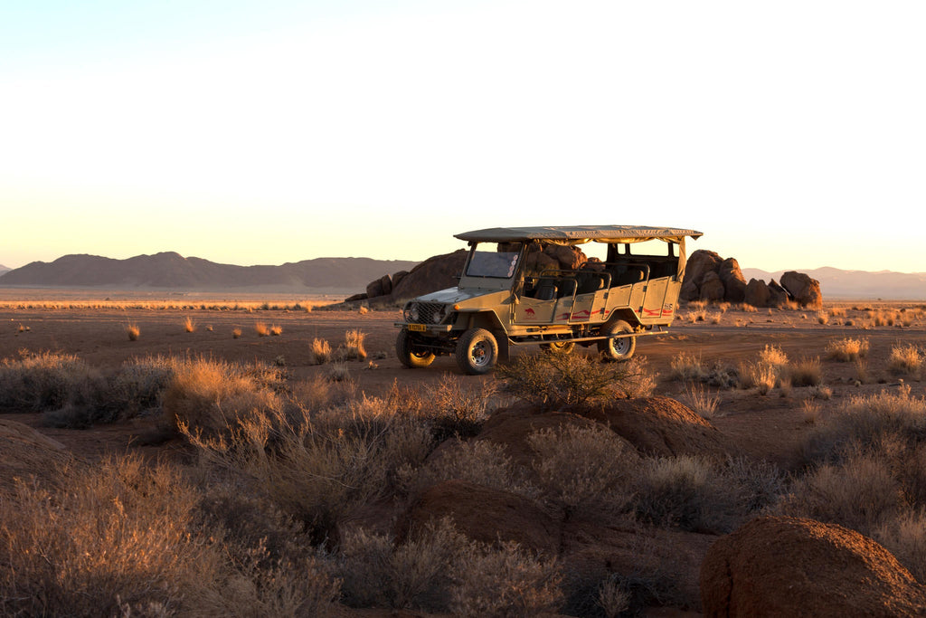 Sundowner / Nature Drive gallery image 4