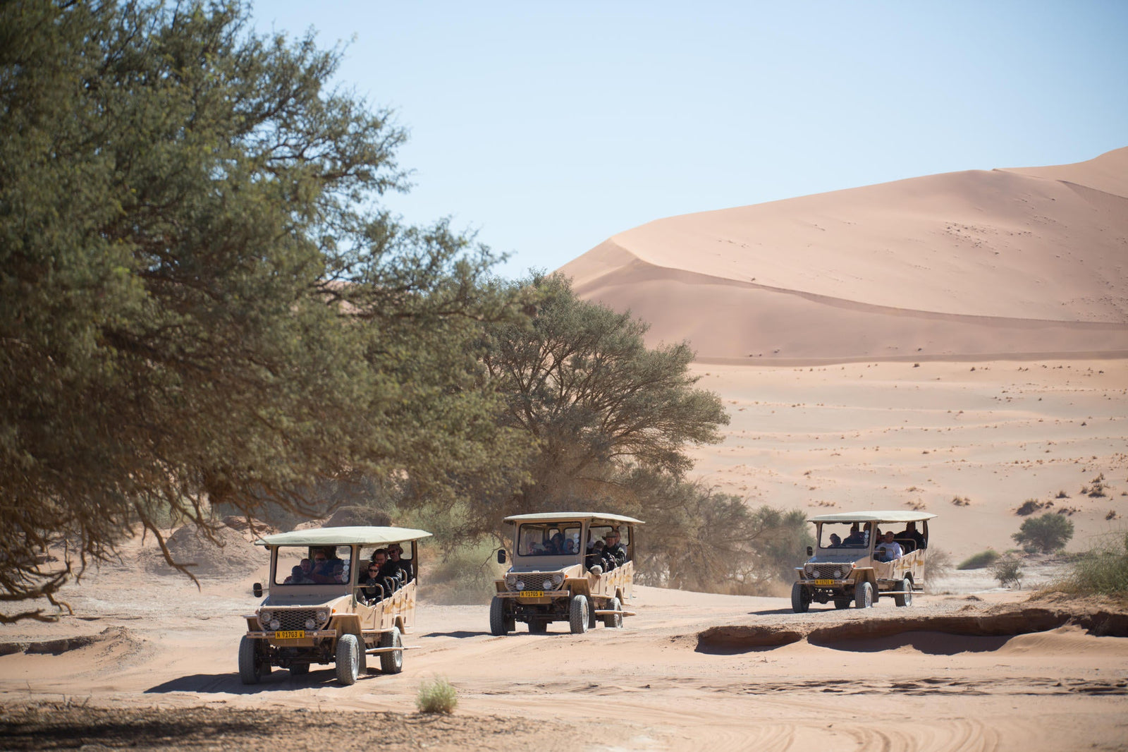 Sossusvlei & Deadvlei Excursion