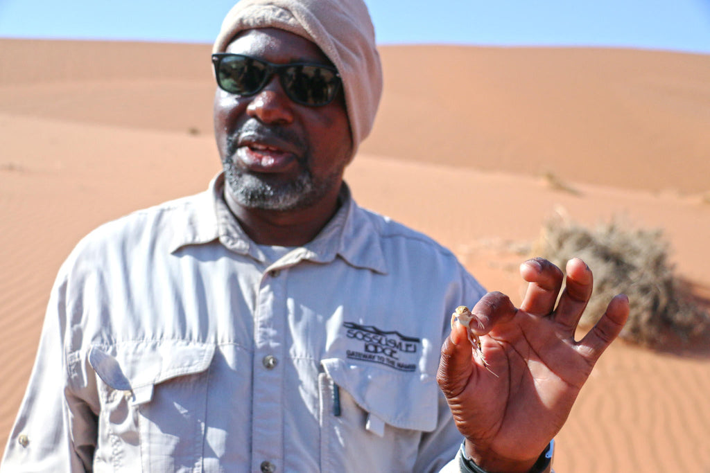 Sossusvlei & Deadvlei Excursion gallery image 6