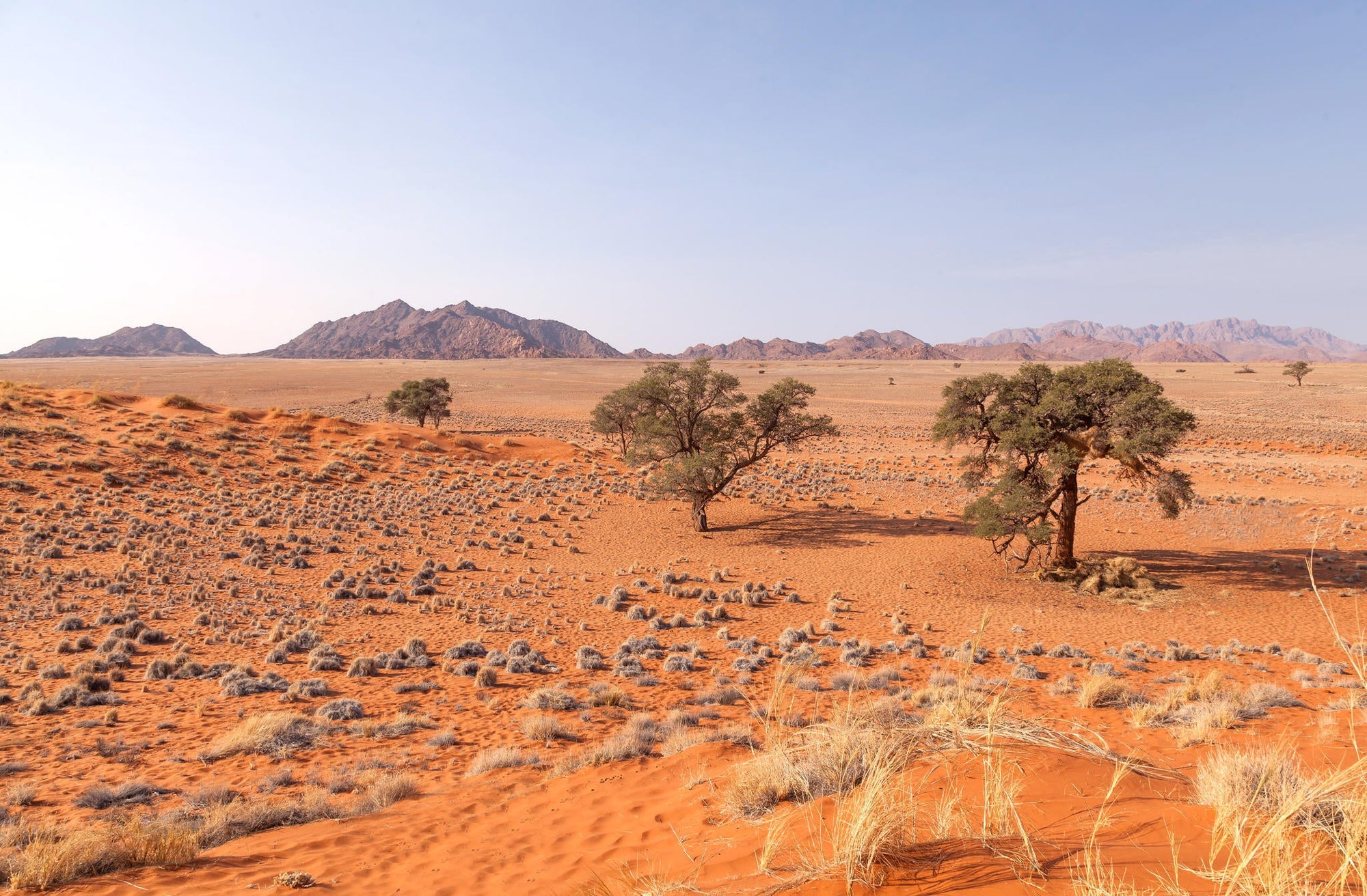 Elim Dune Nature Walk gallery image 3