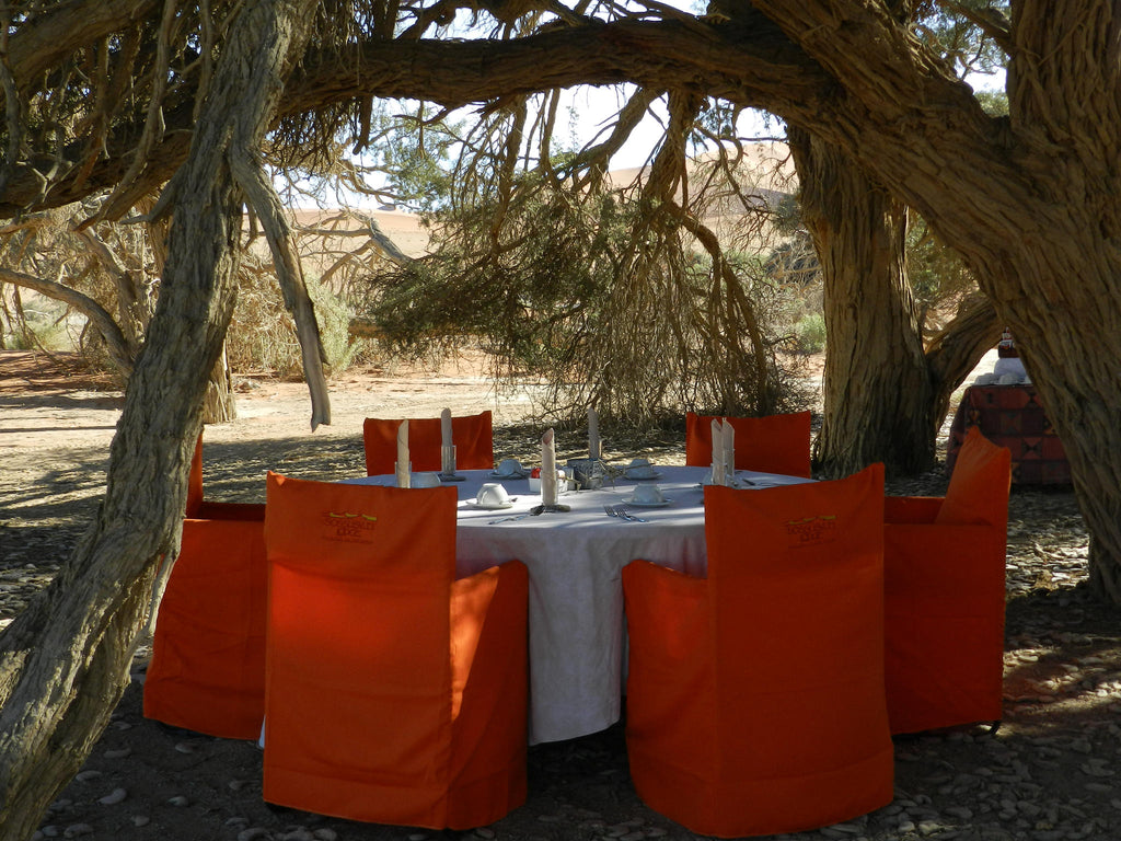 Breakfast at Sossusvlei gallery image 4