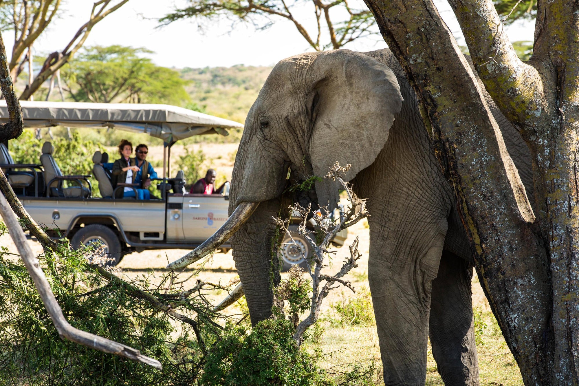 Game Drives gallery image 2