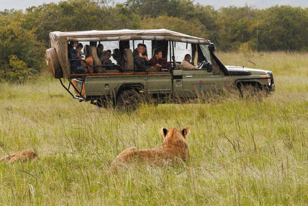 Game Drives gallery image 3