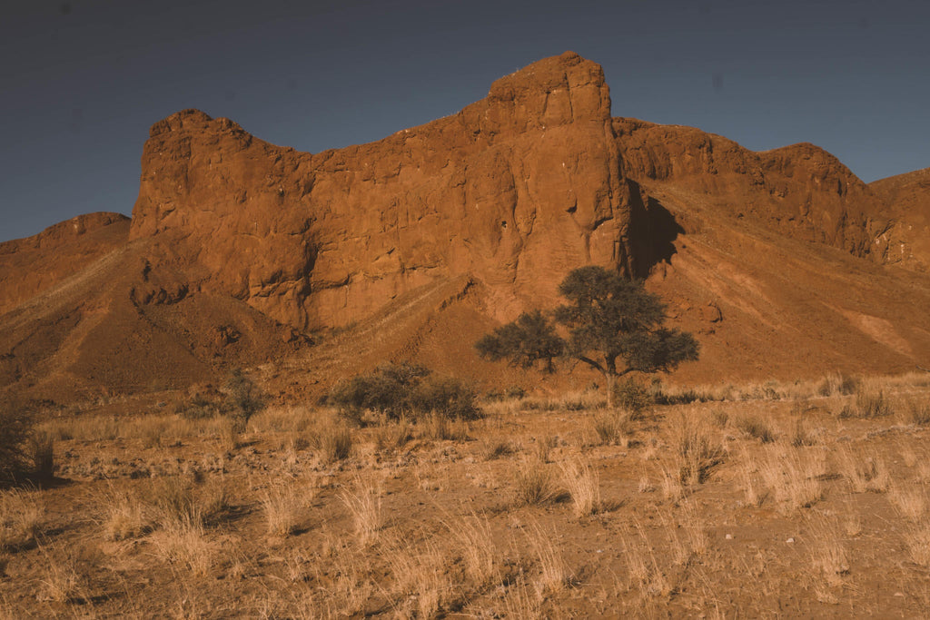 Dune Drive gallery image 1