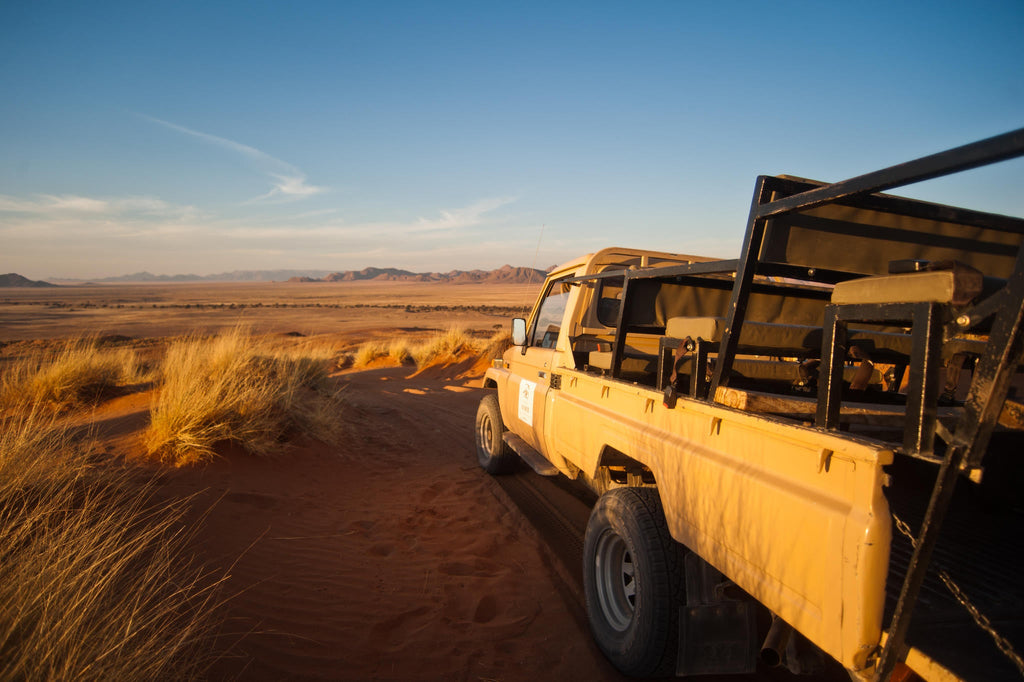 Dune Drive gallery image 4