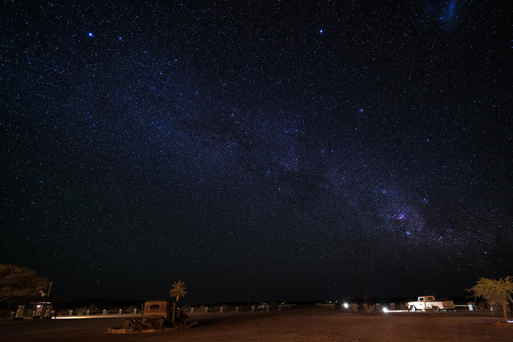 Desert Night Walk gallery image 4