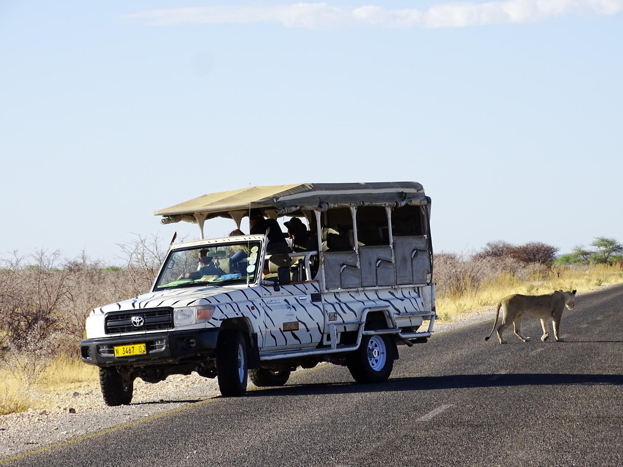 Full Day Game Drive into Etosha gallery image 4