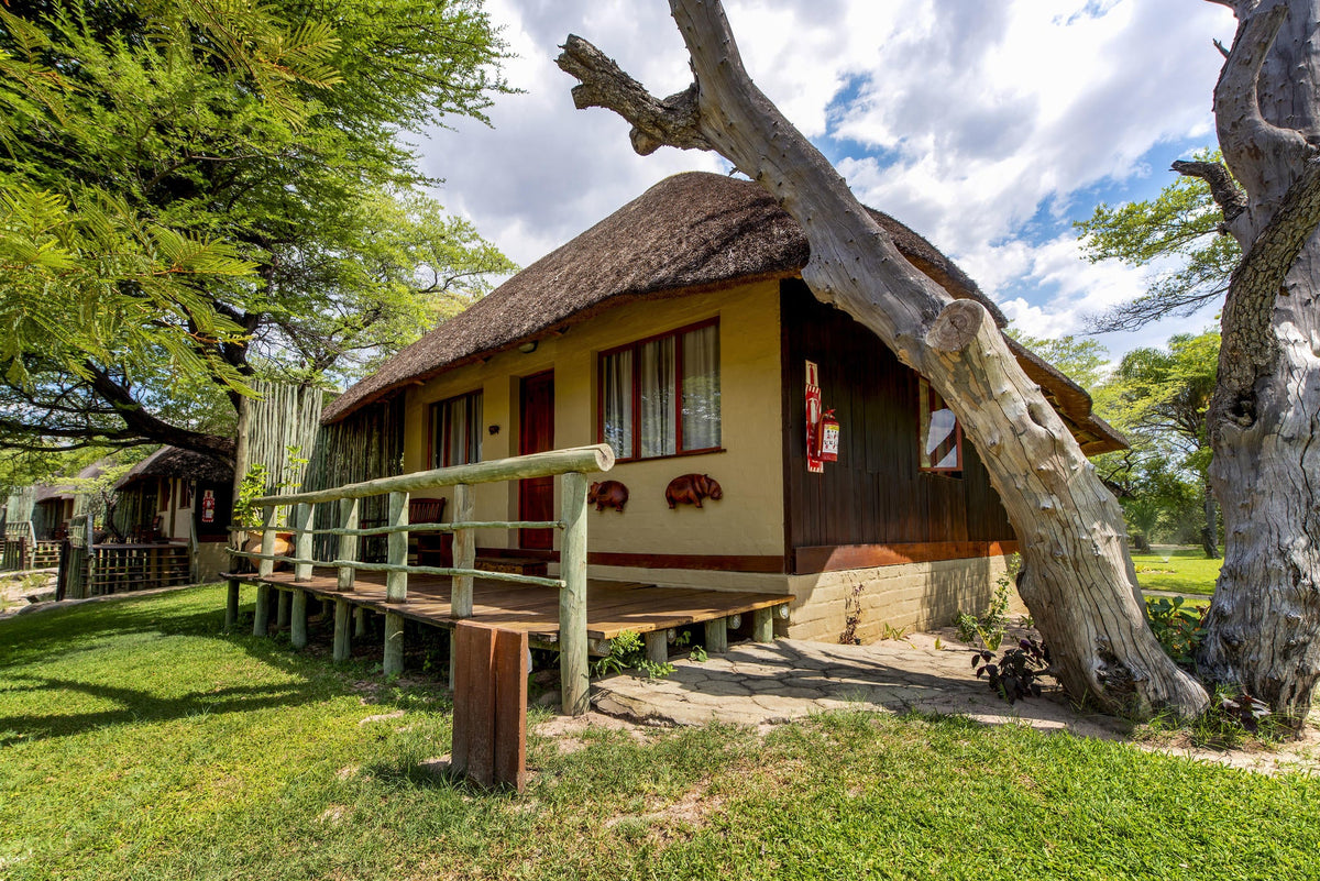 Family Bungalow 6 beds gallery image 4