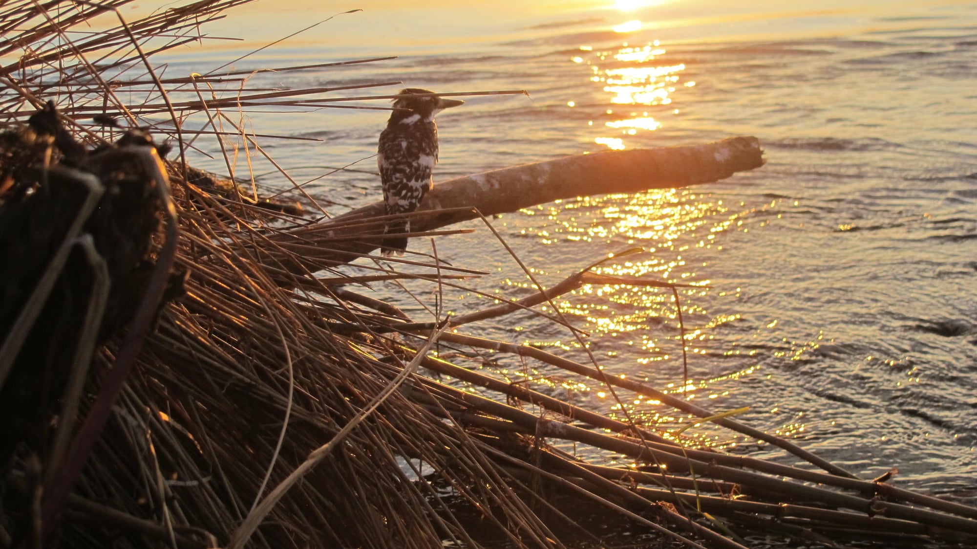 Fishing Trips gallery image 3