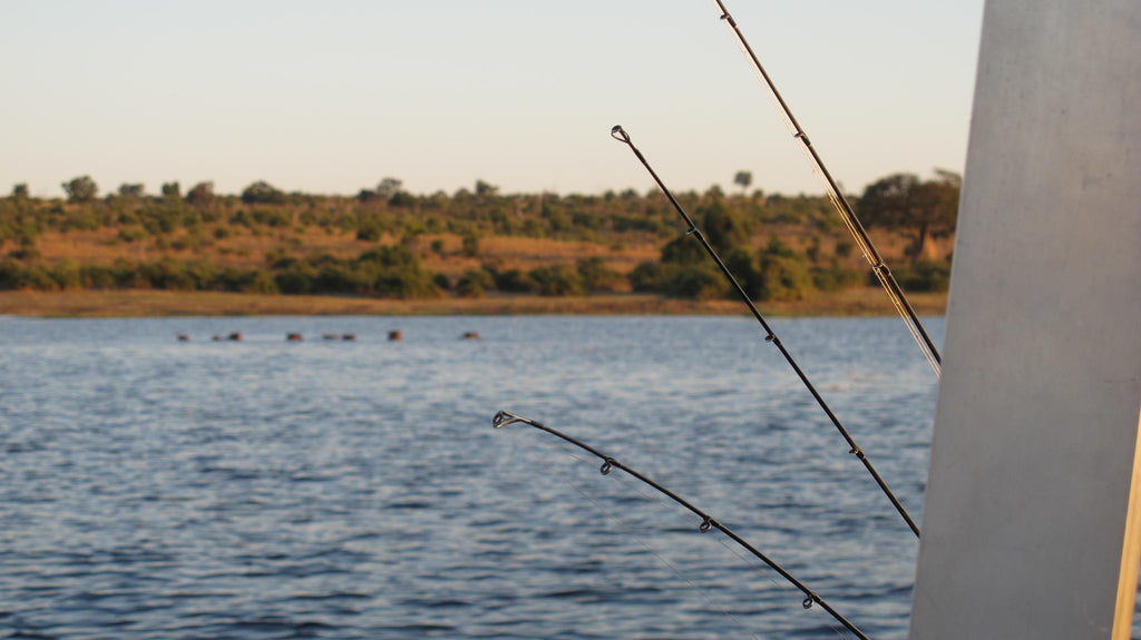 Fishing Trips gallery image 4