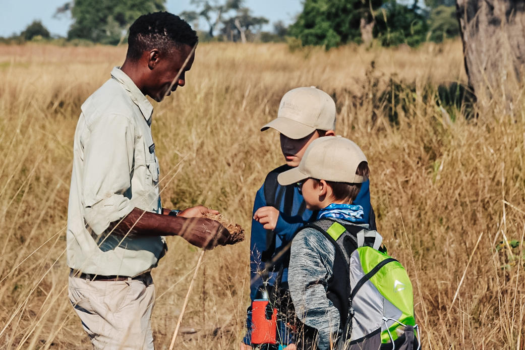 Kids on Safari gallery image 13