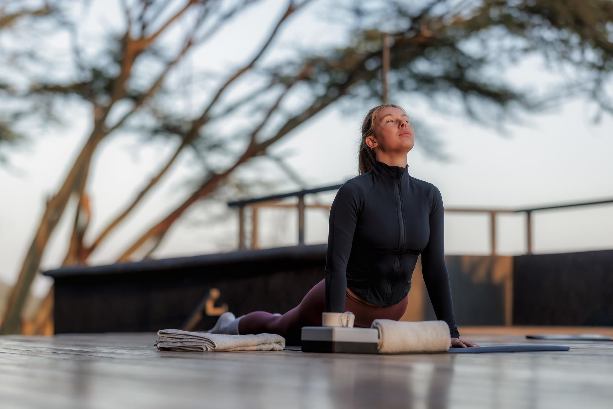 Yoga, Meditation, & Fitness