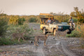 Game Drives gallery image 1