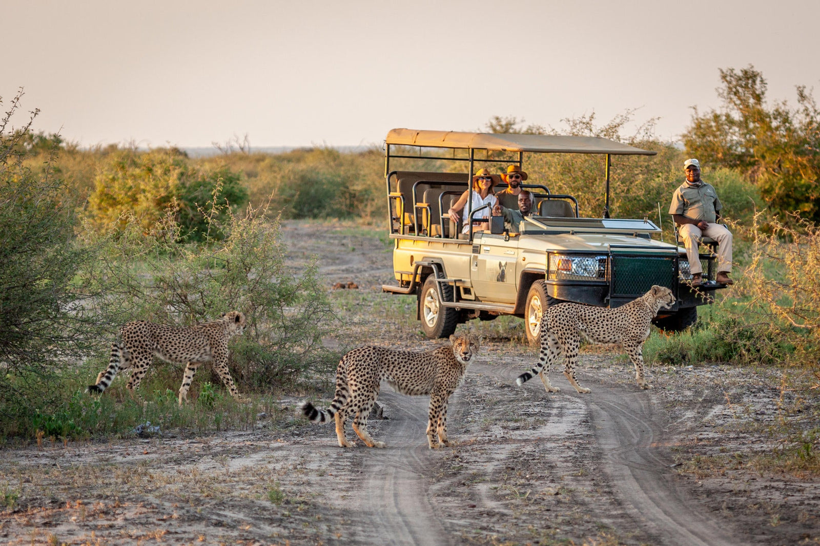Game Drives