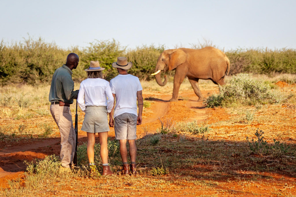 Game Drives gallery image 2