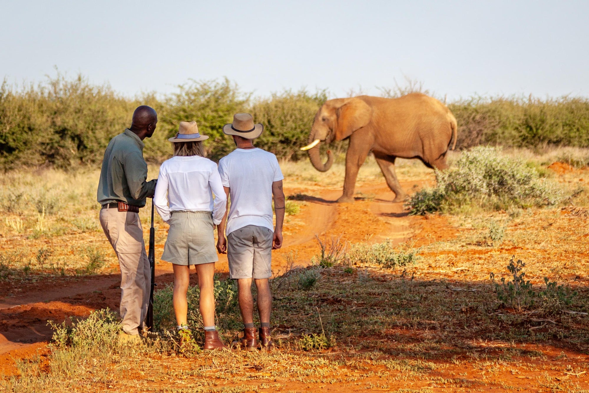 Game Drives gallery image 2