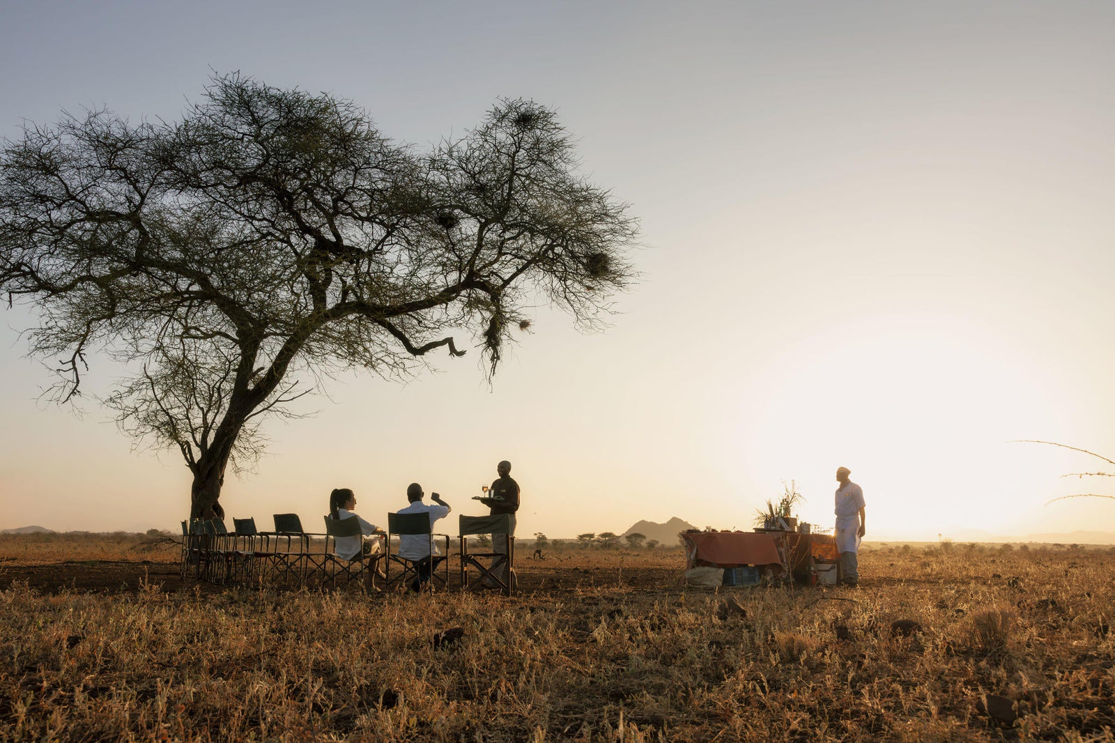 Bush Sundowner