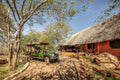 Game drive gallery image 1