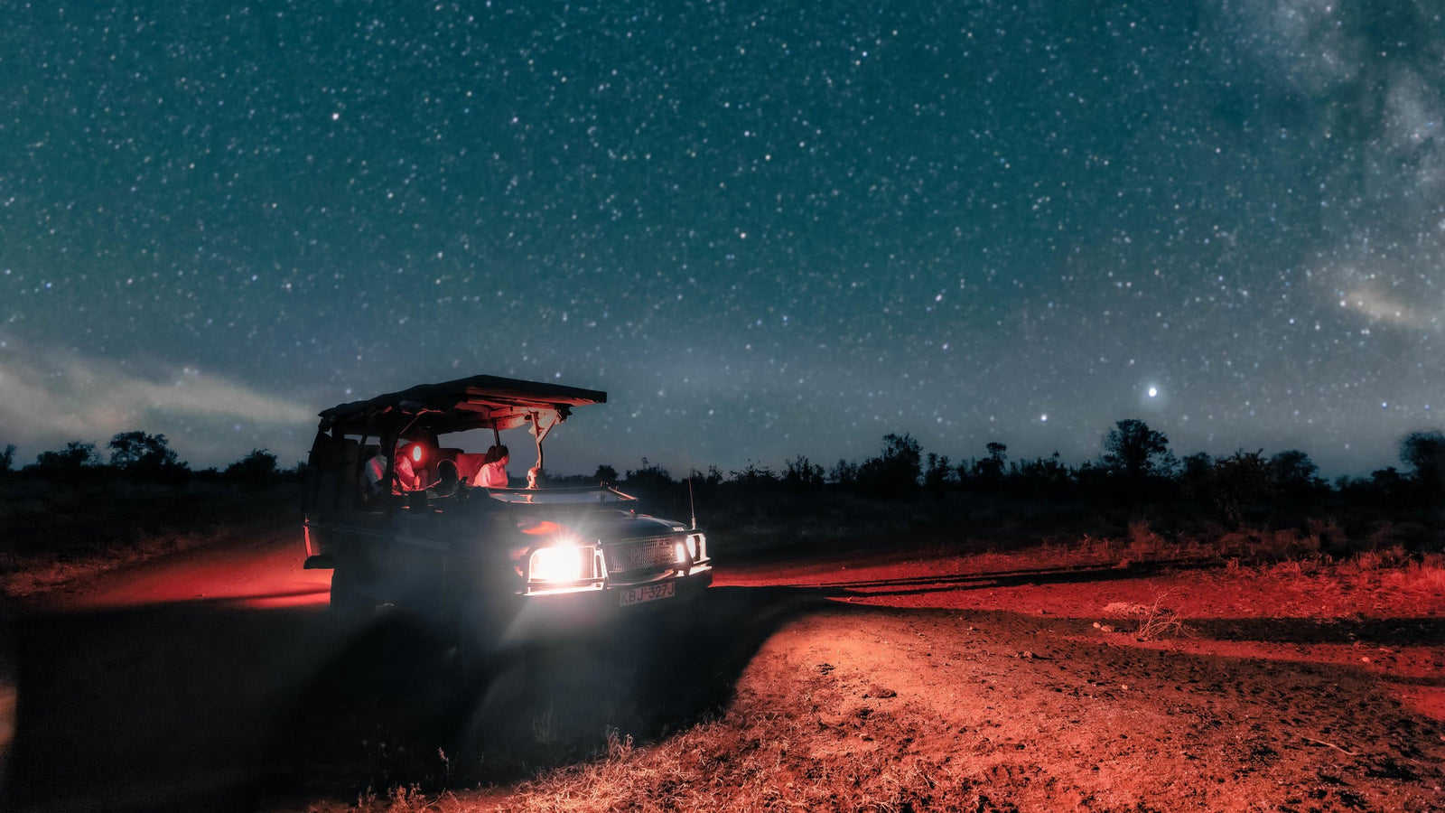Night Game Drive