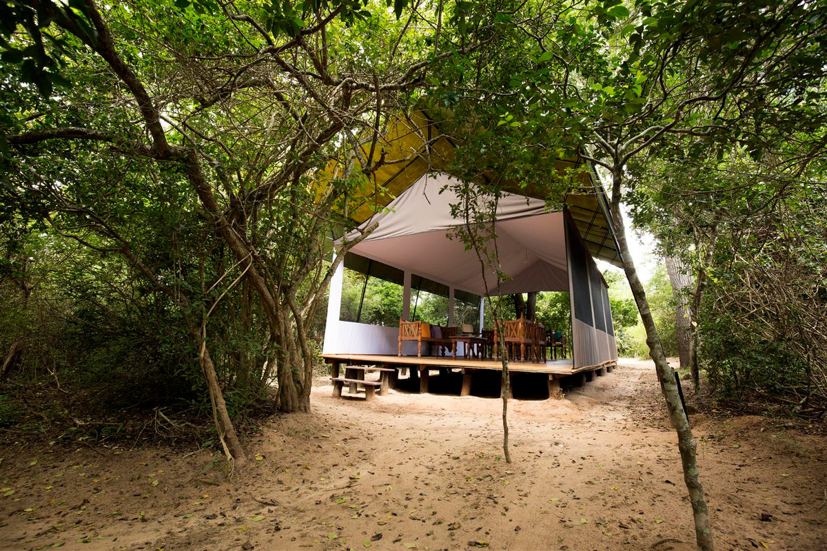 Wild Trails Yala Tented Safari Camp