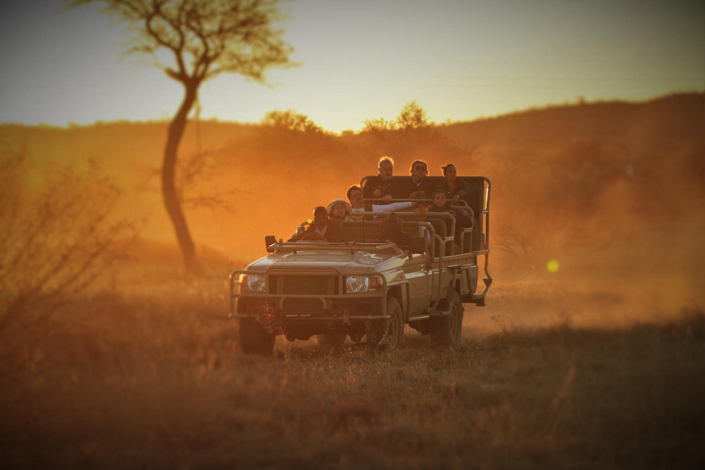 NIGHT DRIVE: - subject to weather and availability gallery image 2