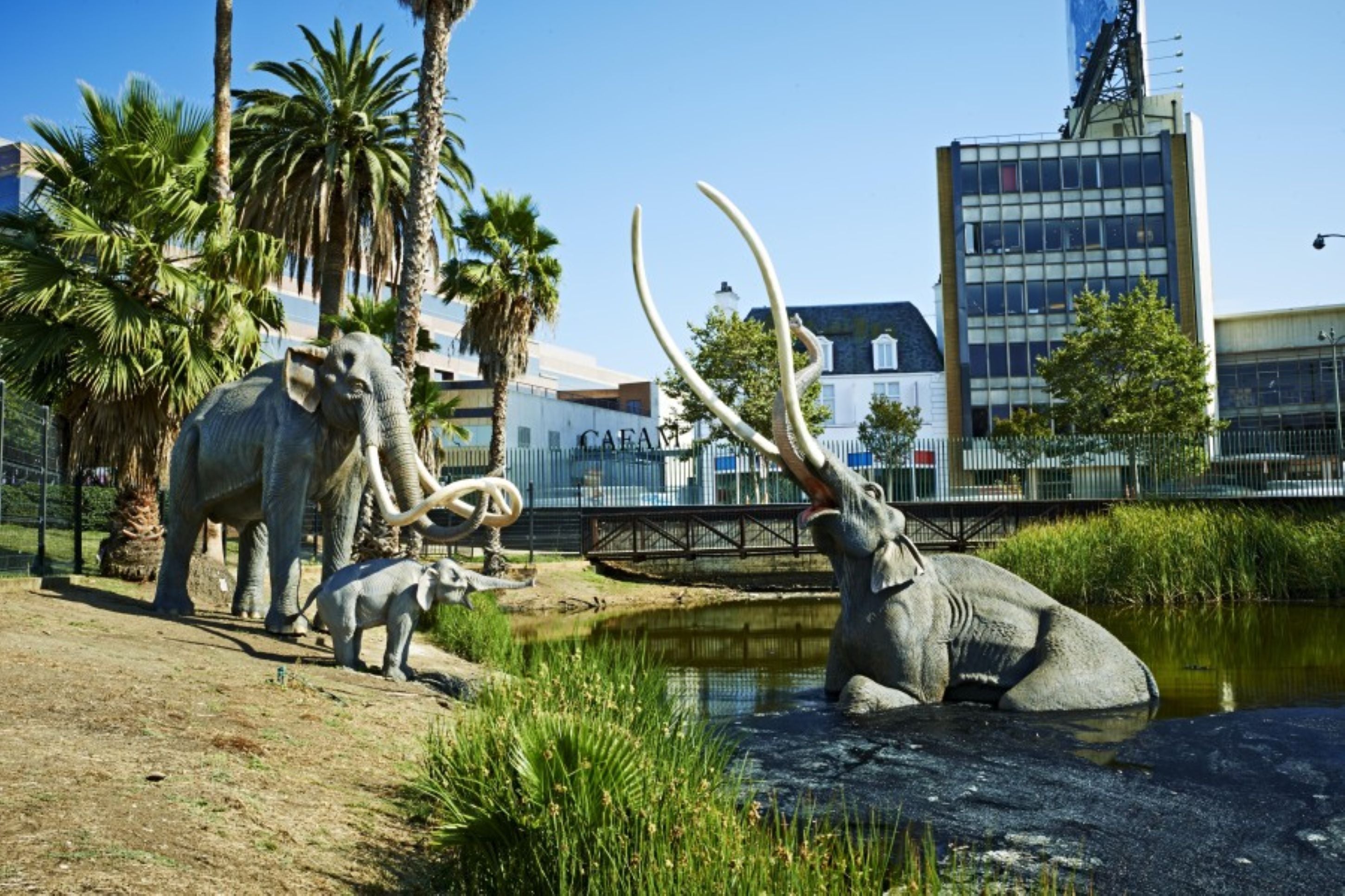 The La Brea Tar Pits and Museum