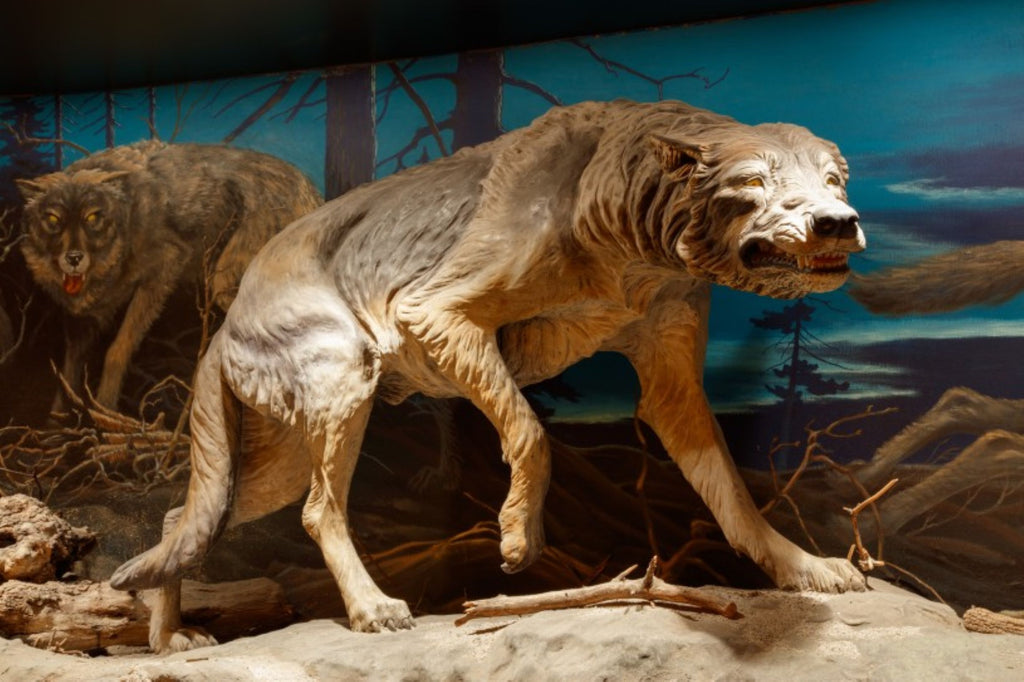 The La Brea Tar Pits and Museum