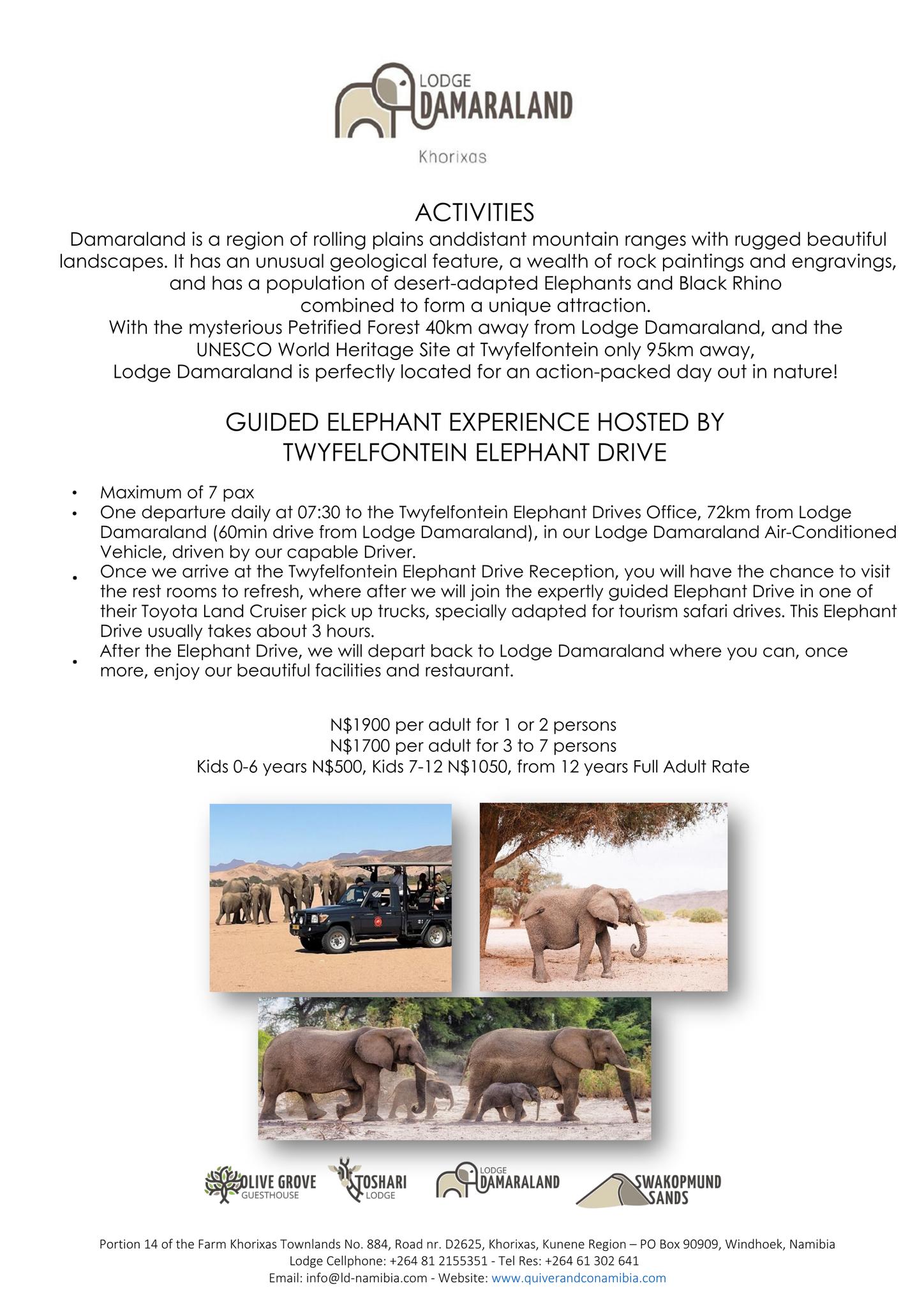 Guided Elephant Experience gallery image 8