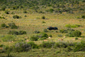 Great Fish River Lodge
