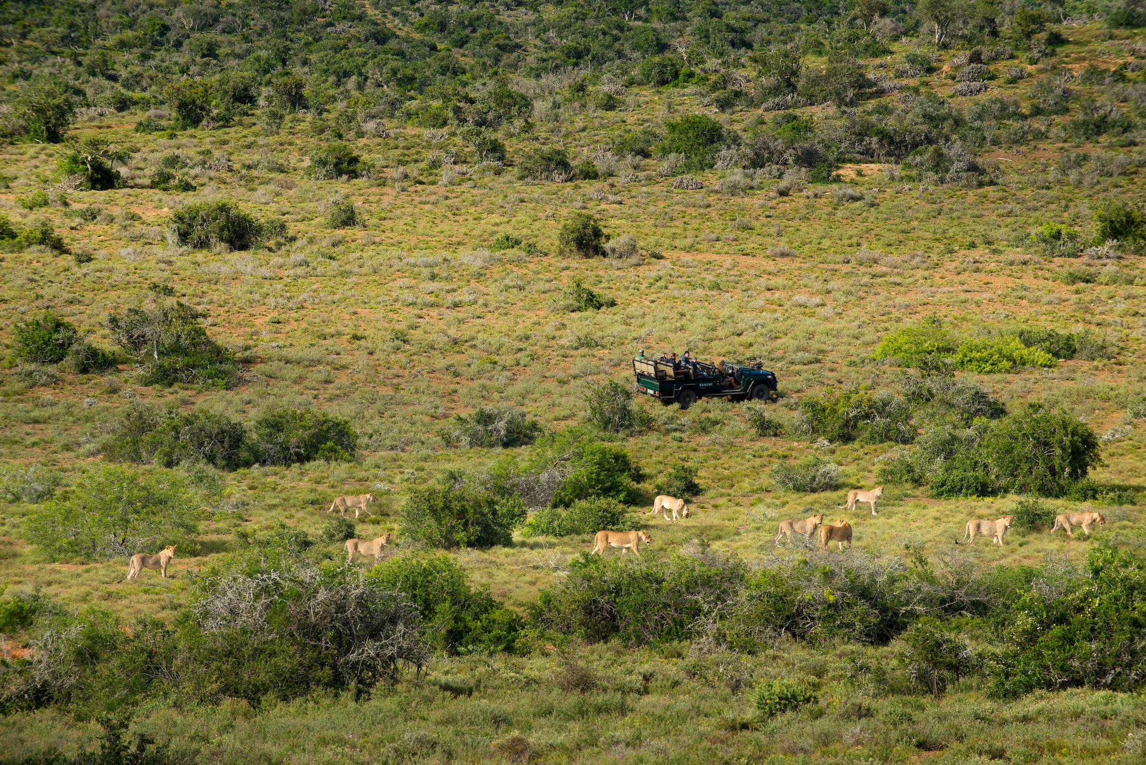 Great Fish River Lodge