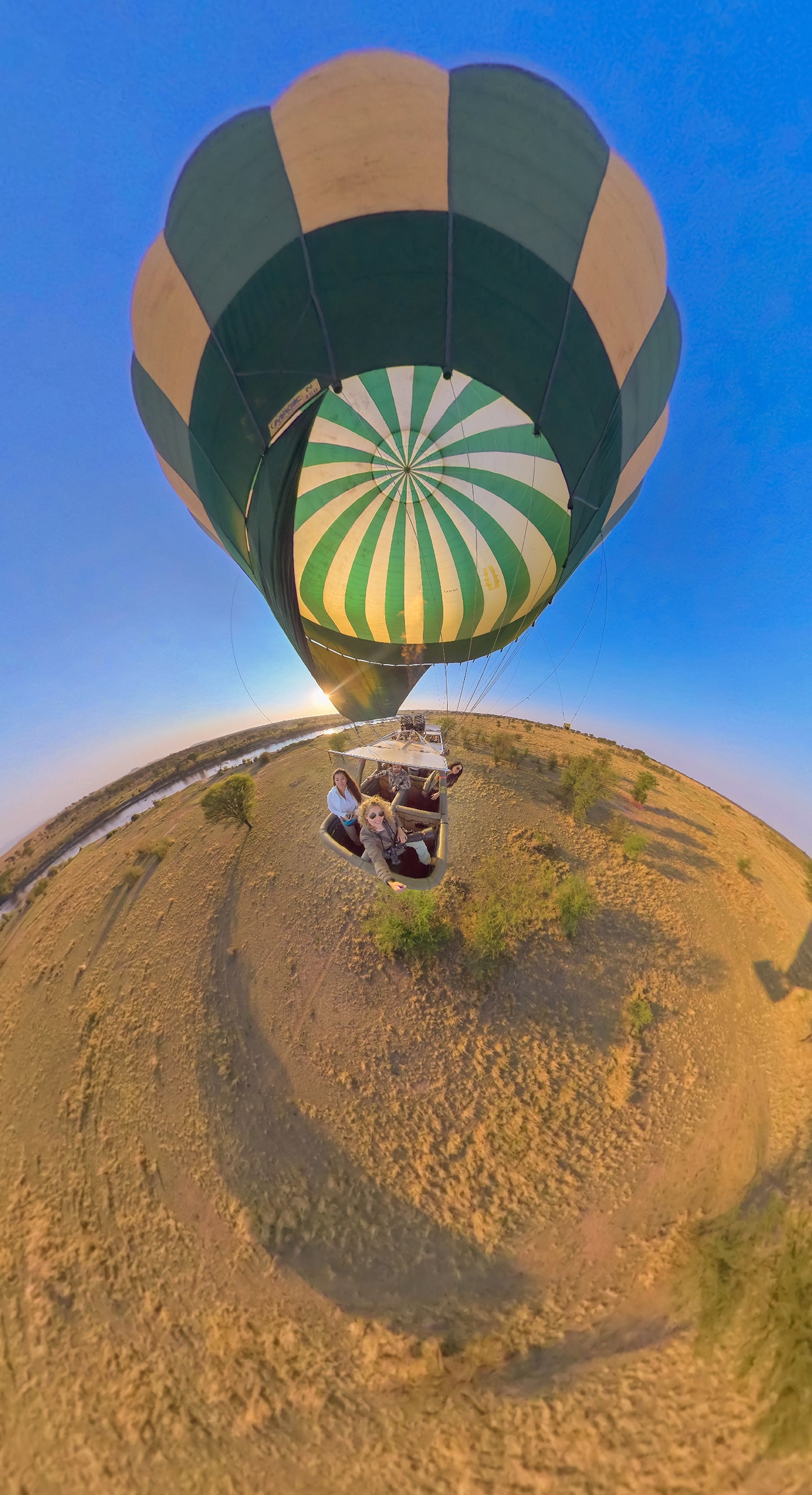 Safari from the Sky