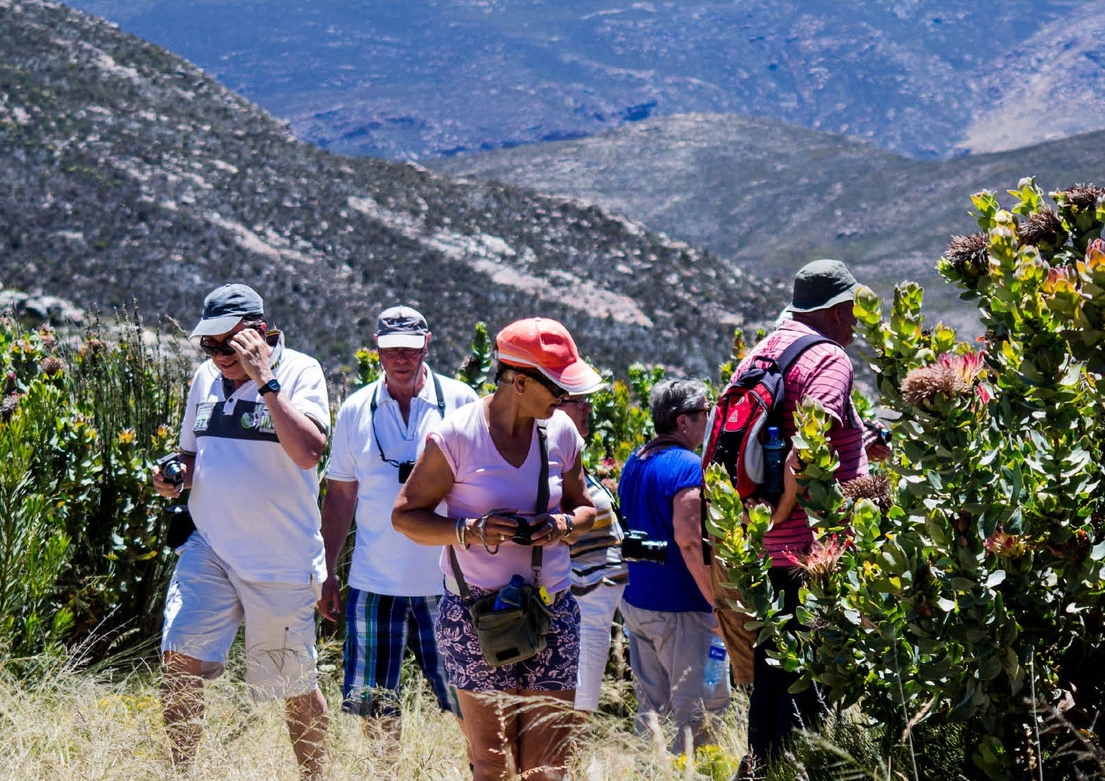 Swartberg Mountain Pass