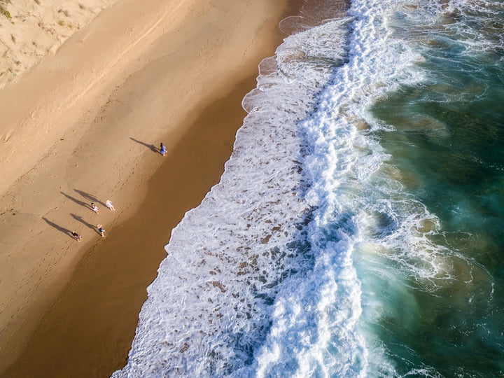 Sava Dunes