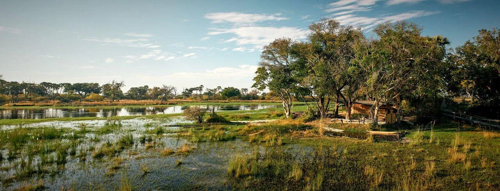 View of Oddballs' Camp at Oddballs' Camp, Moremi Game Reserve, Botswana.